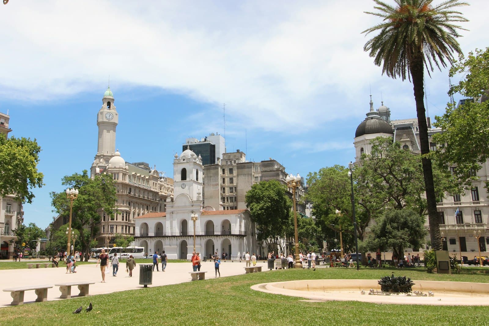 A sunny square with palm trees in central Buenos Aires